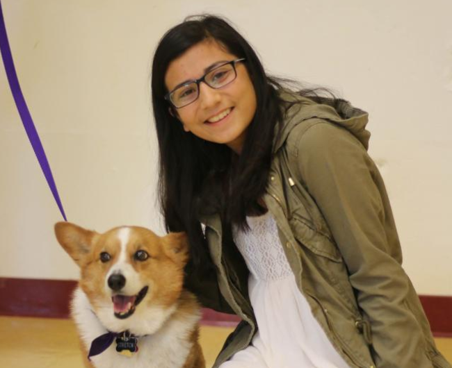 Therapy Dogs at Cupertino High School