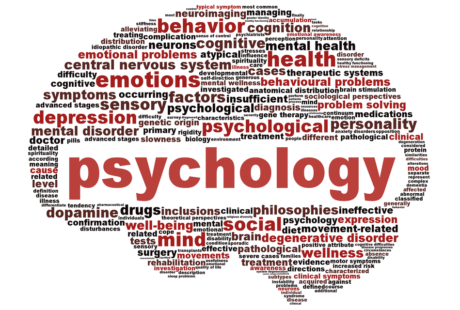 FUHSD Should Offer Psychology Classes