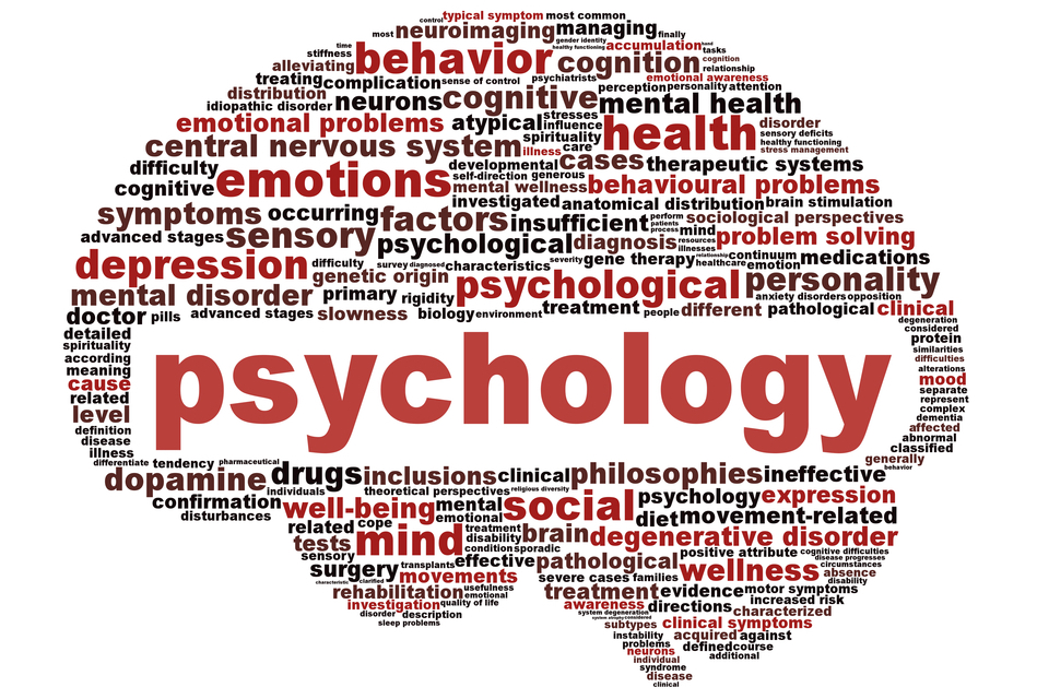 FUHSD+Should+Offer+Psychology+Classes