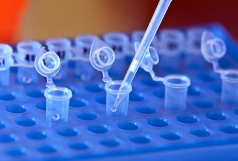 Countries Should Cooperate on International Research Initiatives