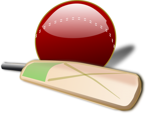 Schools should have a Cricket Team