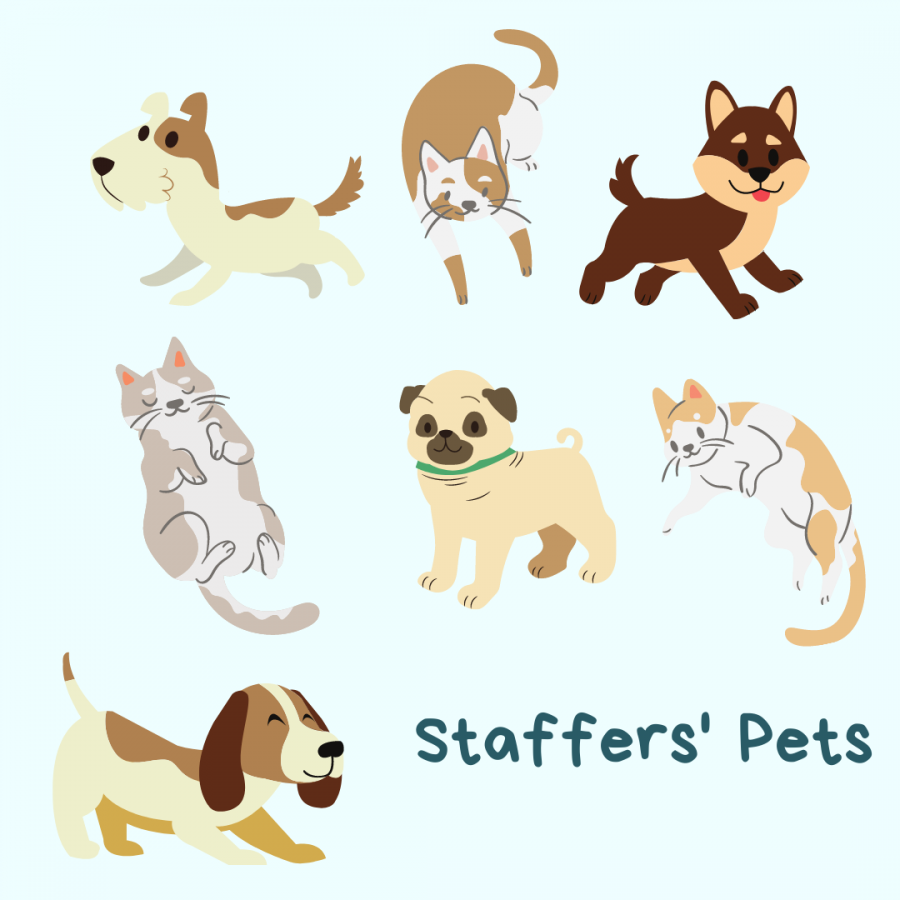 Feauturing Staffer Pets