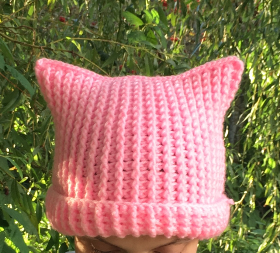 Cat+Beanies+and+Their+Origins+in+the+Feminist+Movement