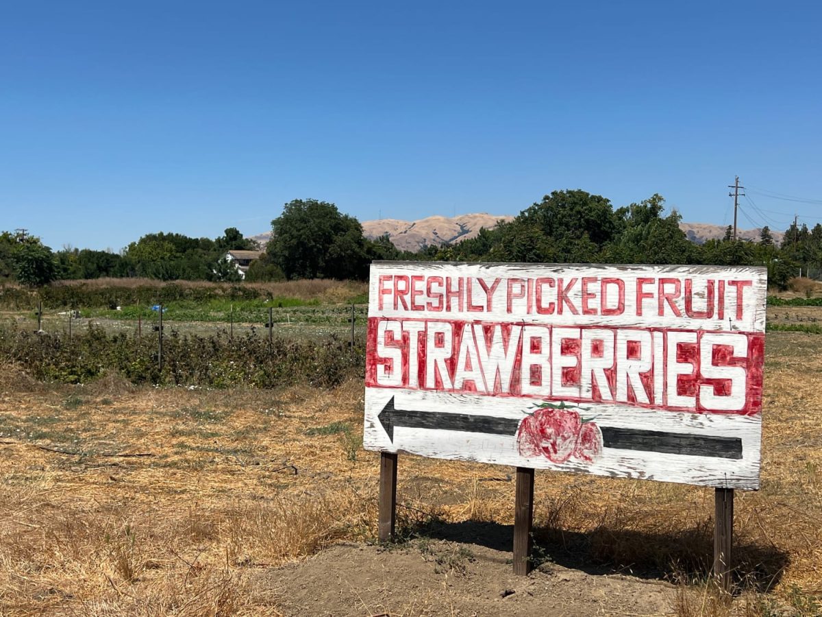 Historic Sakauye Farm to be Demolished