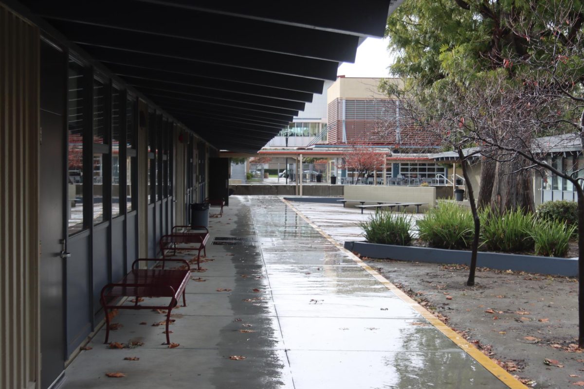 Cupertino High’s Water Infrastructure Needs to Be Improved