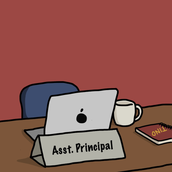 David Erwin: New Assistant Principal at Tino