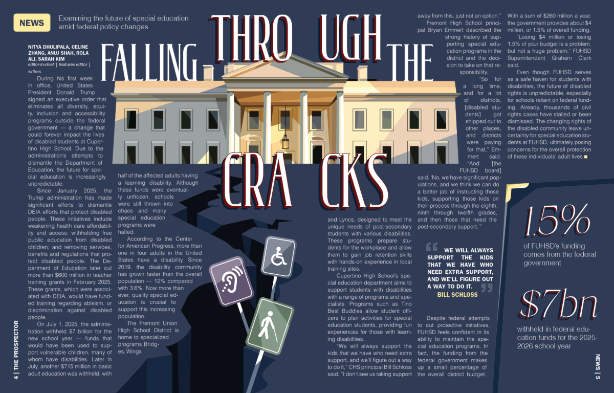 Falling through the cracks